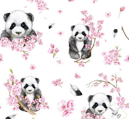 panda et fleur de cerisier